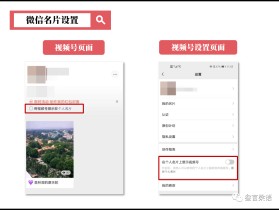 视频号的视频怎么下载到相册(视频号的视频怎么下载到相册?)