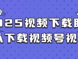 2025视频下载助手可以下载视频号视频吗？