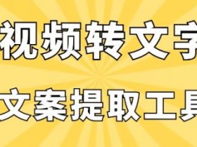 文案提取小帮手,快速将提取视频中的文案!