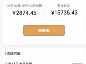 视频号怎么做有收益的，变现攻略，一天收益2000+