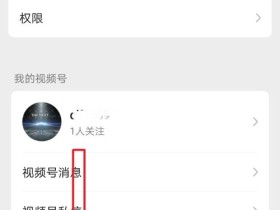 怎么下载视频号的视频(苹果手机怎么下载视频号的视频)