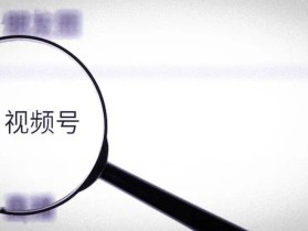 已关注的微信视频号在哪里看 微信关注的视频号查看方法【详解】
