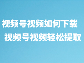 视频号视频如何下载,教你把视频号视频轻松提取了