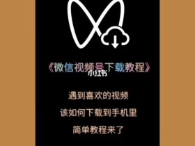 视频号的视频如何下载(视频号的视频如何下载到手机)