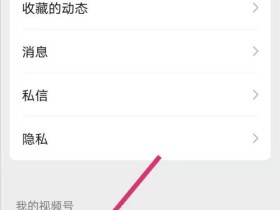 视频号视频怎么下载到本地视频(视频号提取永久免费)