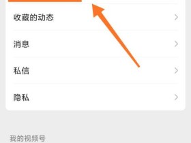 视频号怎么看谁浏览过(视频号怎么看谁浏览过没有点赞)